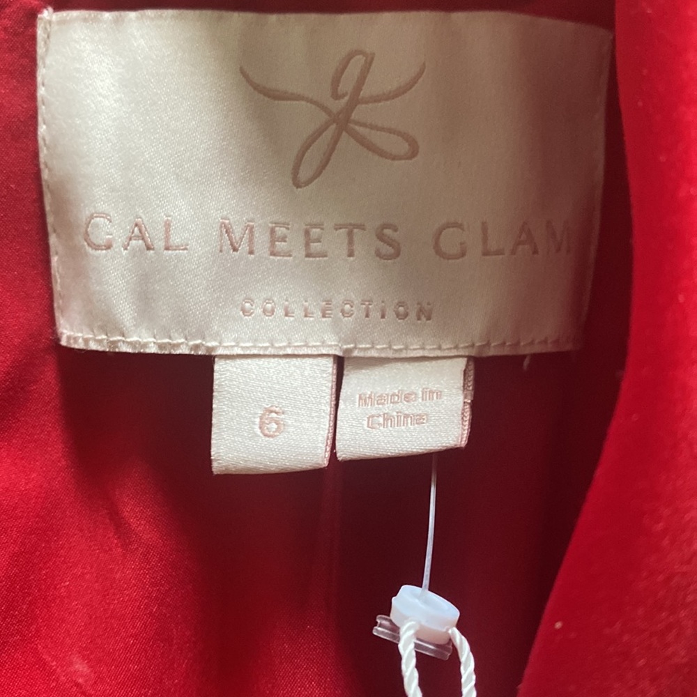 Gal Meets Glam Vibrant Red Fit-and-Flare Dress - Picture 6 of 6